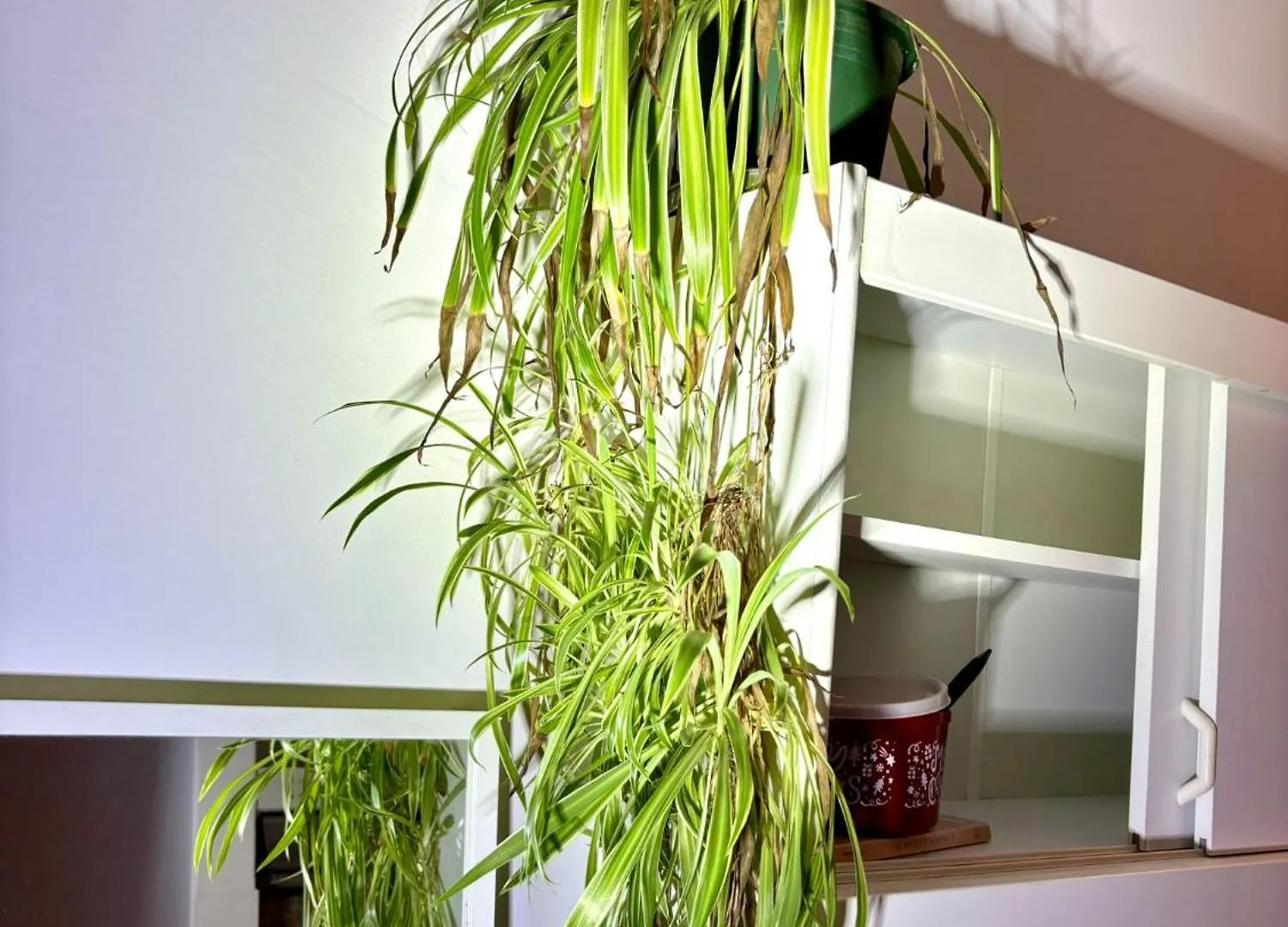 Balkonwohnung Graz Neben Mol-Bio